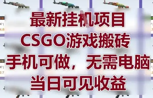 最新挂G项目,CSGO游戏搬砖,手机可做,无需电脑,当日见收益【揭秘】