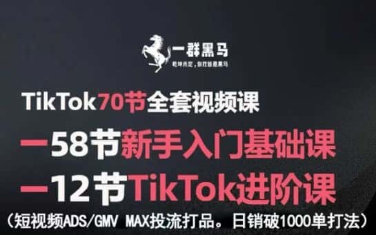 TikTok全套视频课,新手入门+进阶课,短视频ADS-GMV MAX投流打品,日销破1000单打法