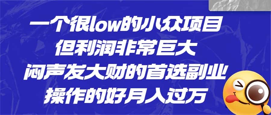 [抖音快手]一个很low的小众项目，但利润非常巨大，闷声发大财的首选副业，操作的好月入过万-副业吧