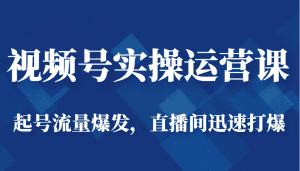 视频号实操运营课-起号流量爆发，直播间迅速打爆-副业吧