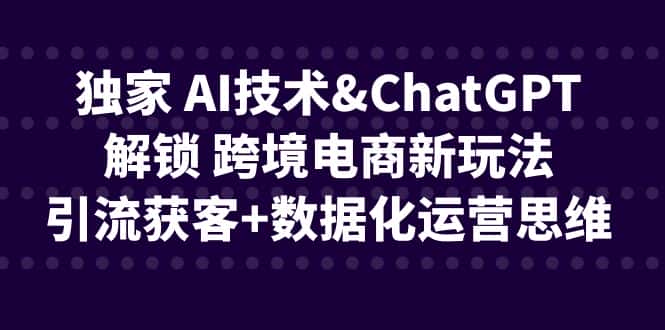 独家 AI技术&ChatGPT解锁 跨境电商新玩法，引流获客+数据化运营思维-副业吧