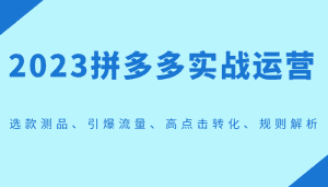 2023拼多多实战运营，选款测品、引爆流量、高点击转化、规则解析-副业吧