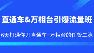 直通车&万相台引爆流量班 6天打通你开直通车·万相台的任督二脉-副业吧