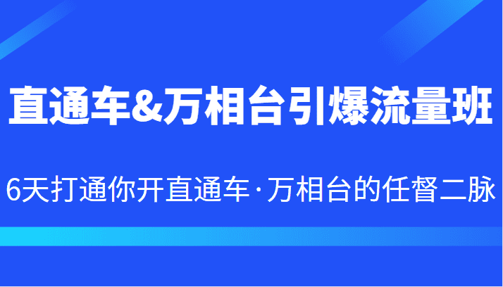 直通车&万相台引爆流量班 6天打通你开直通车·万相台的任督二脉-副业吧