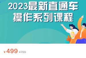 2023最新引力魔方系列课程，如何利用直通车去冲销量-副业吧