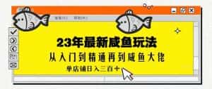 2023最新闲鱼实战课，从入门到精通再到闲鱼大佬，单号日入300+（更新）-副业吧