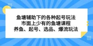 鱼塘 辅助下的各种起号玩法,市面上少有的鱼塘课程 养鱼 起号 选品 爆流…-副业吧