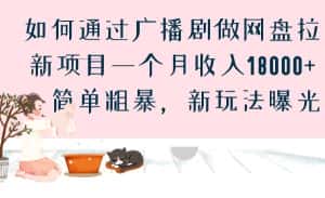 如何通过广播剧做网盘拉新项目一个月收入18000+，简单粗暴，新玩法曝光-优优云创