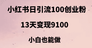 小红书日引流100+创业粉，13天变现9100，创业首选引流平台-优优云创