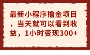 最新小程序撸金项目，当天就可以看到收益，1小时变现300+-优优云创