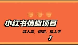 最新小红书情趣项目，市场大，日入千+，持续稳定收入-优优云创