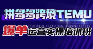 拼多多跨境TEMU爆单运营实操培训班 海外拼多多的选品、运营、爆单-优优云创