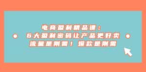 电商盈利精品课：6大盈利 密码让产品更好卖，流量是刚需！爆款是刚需-优优云创