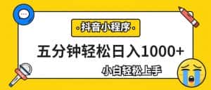 轻松日入1000+，抖音小程序最新思路，每天五分钟，适合0基础小白-优优云创