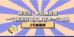 拼多多·单品爆款班，一个拼多多超级爆款养一个团队（5节直播课）-优优云创