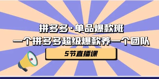 拼多多·单品爆款班，一个拼多多超级爆款养一个团队（5节直播课）-优优云创
