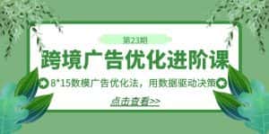 跨境广告·优化进阶课·第23期，8*15数模广告优化法，用数据驱动决策-优优云创