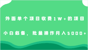 外面单个项目收费1W+的项目，小白必备，批量操作月入5000+-优优云创