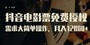 抖音电影票免费授权，需求大简单操作，月入12000+（教程+素材打包）-优优云创