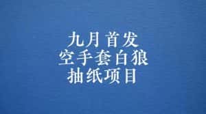 0成本，日入100-500空手套白狼抽纸项目，保姆级教学-优优云创