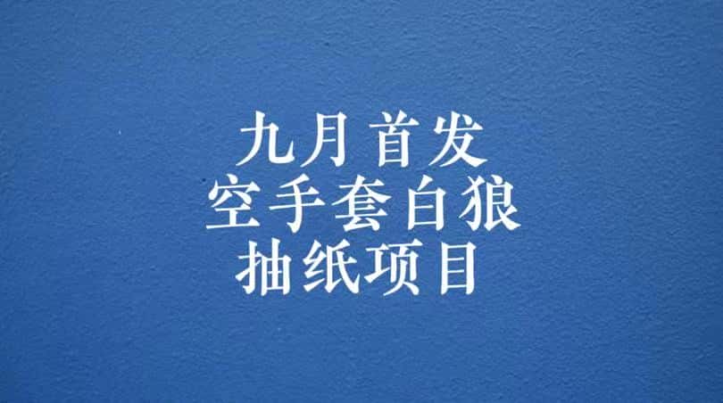 0成本，日入100-500空手套白狼抽纸项目，保姆级教学-优优云创