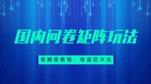 保姆级教程，国内问卷矩阵玩法，轻松赚收益-优优云创