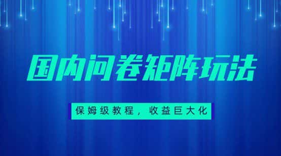 保姆级教程，国内问卷矩阵玩法，轻松赚收益-优优云创
