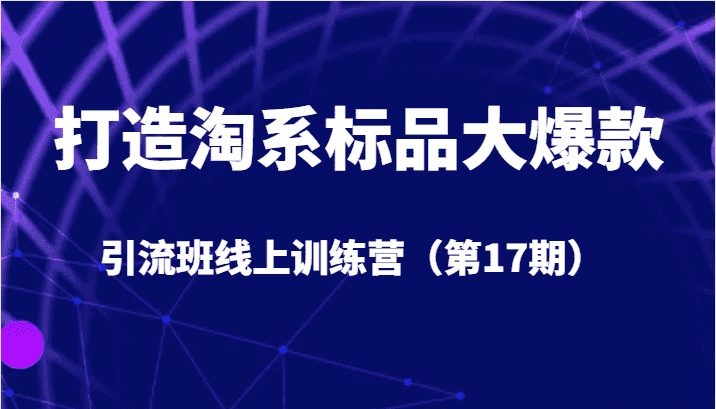 打造淘系标品大爆款引流班线上训练营（第17期）5天直播授课+1个月答疑-优优云创