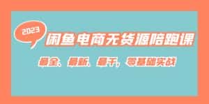 闲鱼电商无货源陪跑课，最全、最新、最干，零基础实战-优优云创