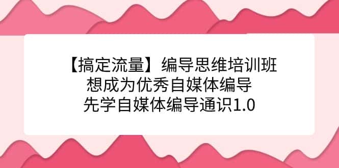 【搞定流量】编导思维培训班，想成为优秀自媒体编导先学自媒体编导通识1.0-副业吧