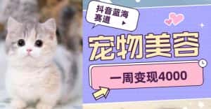 抖音蓝海赛道，宠物美容，一周变现4000-优优云创