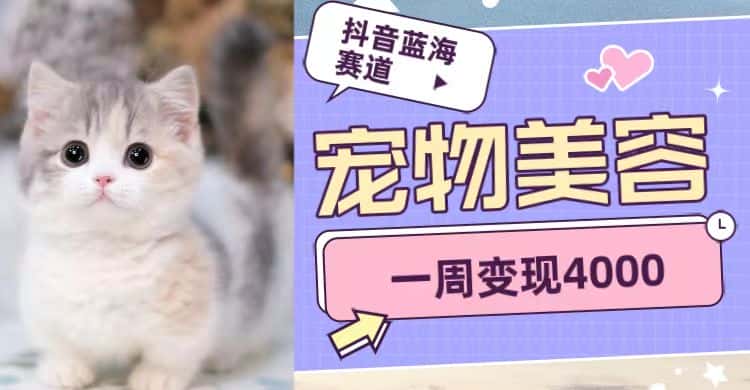 抖音蓝海赛道，宠物美容，一周变现4000-优优云创