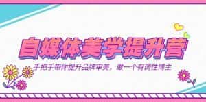 自媒体-美学提升营 手把手带你提升-品牌审美，做一个有调性博主（11节课）-优优云创