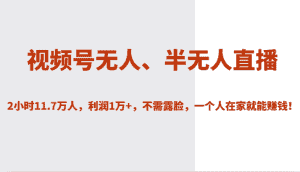 视频号无人、半无人直播2小时11.7万人，利润1万+，不需露脸，一个人在家就能赚钱！-优优云创