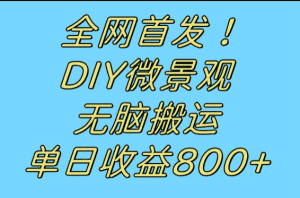 全网首发冷门赛道！DIY微景观，无脑搬运视频，日收益800+-优优云创