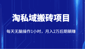 价值2980的淘私域搬砖项目,每天无脑操作1小时,月入2万后期躺赚-副业吧