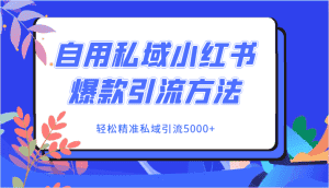 自用私域小红书爆款引流方法，轻松精准私域引流5000+-优优云创