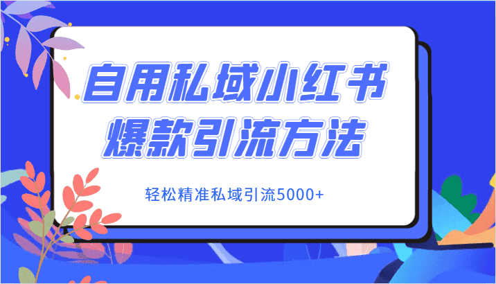 自用私域小红书爆款引流方法，轻松精准私域引流5000+-优优云创