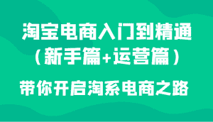 淘宝电商入门到精通（新手篇+运营篇）带你开启淘系电商之路-优优云创