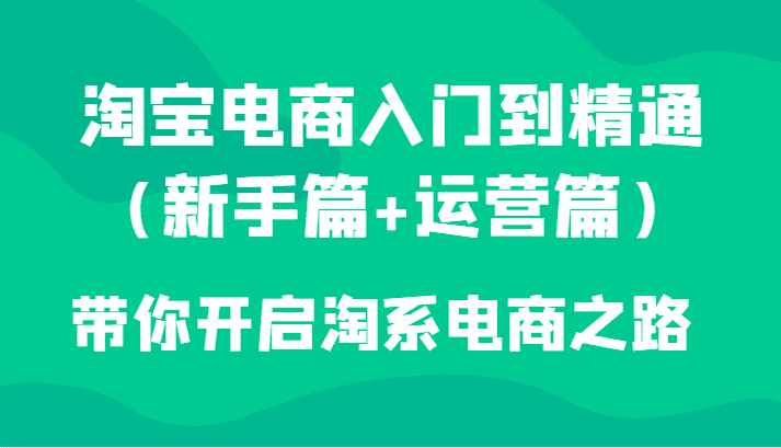淘宝电商入门到精通（新手篇+运营篇）带你开启淘系电商之路-优优云创