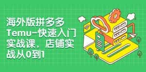 外版拼多多Temu-快速入门实战课，店铺实战从0到1（12节课）-副业吧
