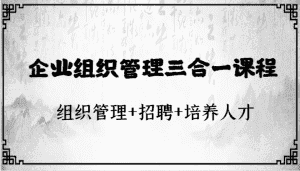 企业组织管理三合一课程：组织管理+招聘+培养人才-副业吧