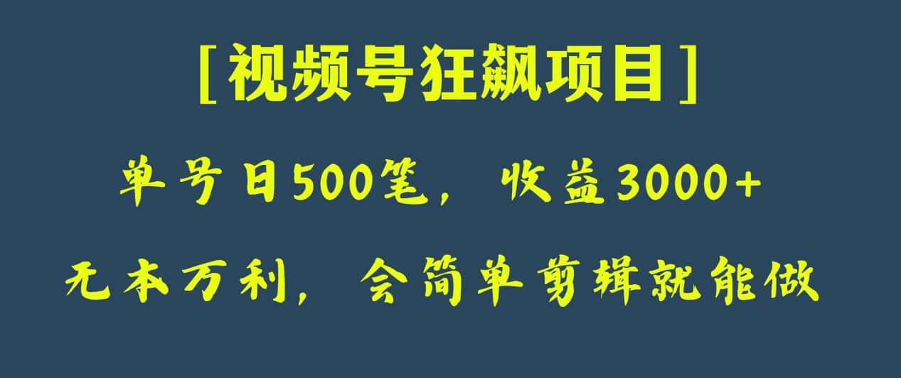 日收款500笔，纯利润3000+，视频号狂飙项目！-副业吧