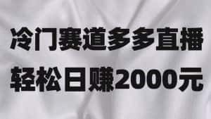 冷门赛道拼多多直播项目，简单念稿子，日收益2000＋-副业吧