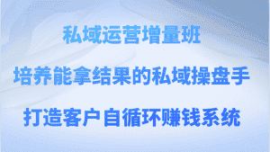 私域运营增量班 培养能拿结果的私域操盘手，打造客户自循环赚钱系统-副业吧