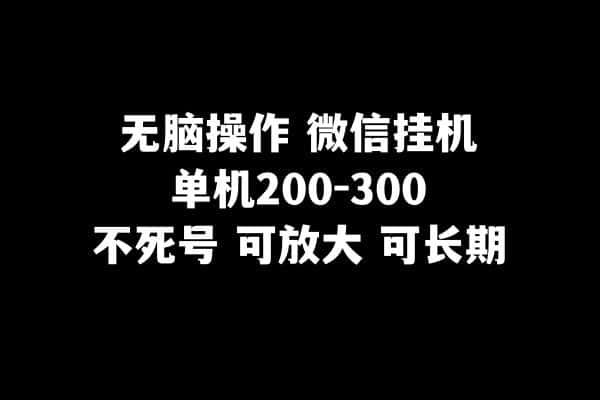 无脑操作微信挂机单机200-300一天，不死号，可放大-优优云创