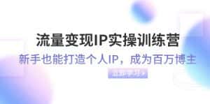 流量变现IP实操训练营：新手也能打造个人IP，成为百万 博主（46节课）-优优云创