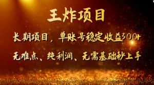 王炸项目！单账号稳定收益300+，适合长期操作的副业兼职。-副业吧