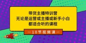 带货主播特训营：无论是运营或主播或新手小白，都适合听的课程-优优云创
