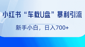 小红书“车载U盘”项目,暴利引流,新手小白轻松日入700+-副业吧